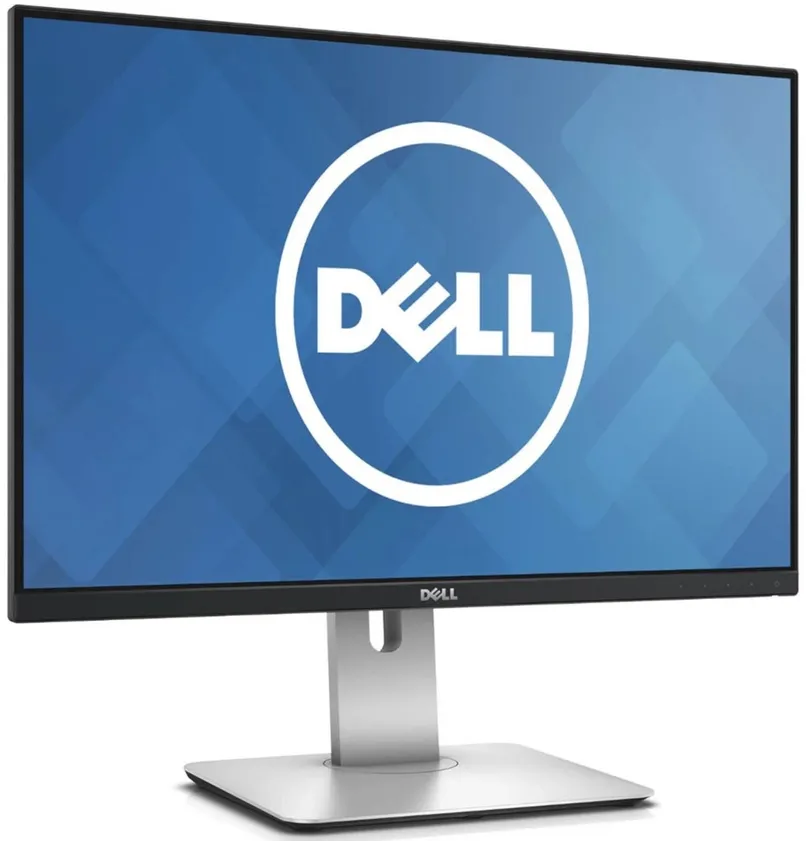 Dell U2415 24